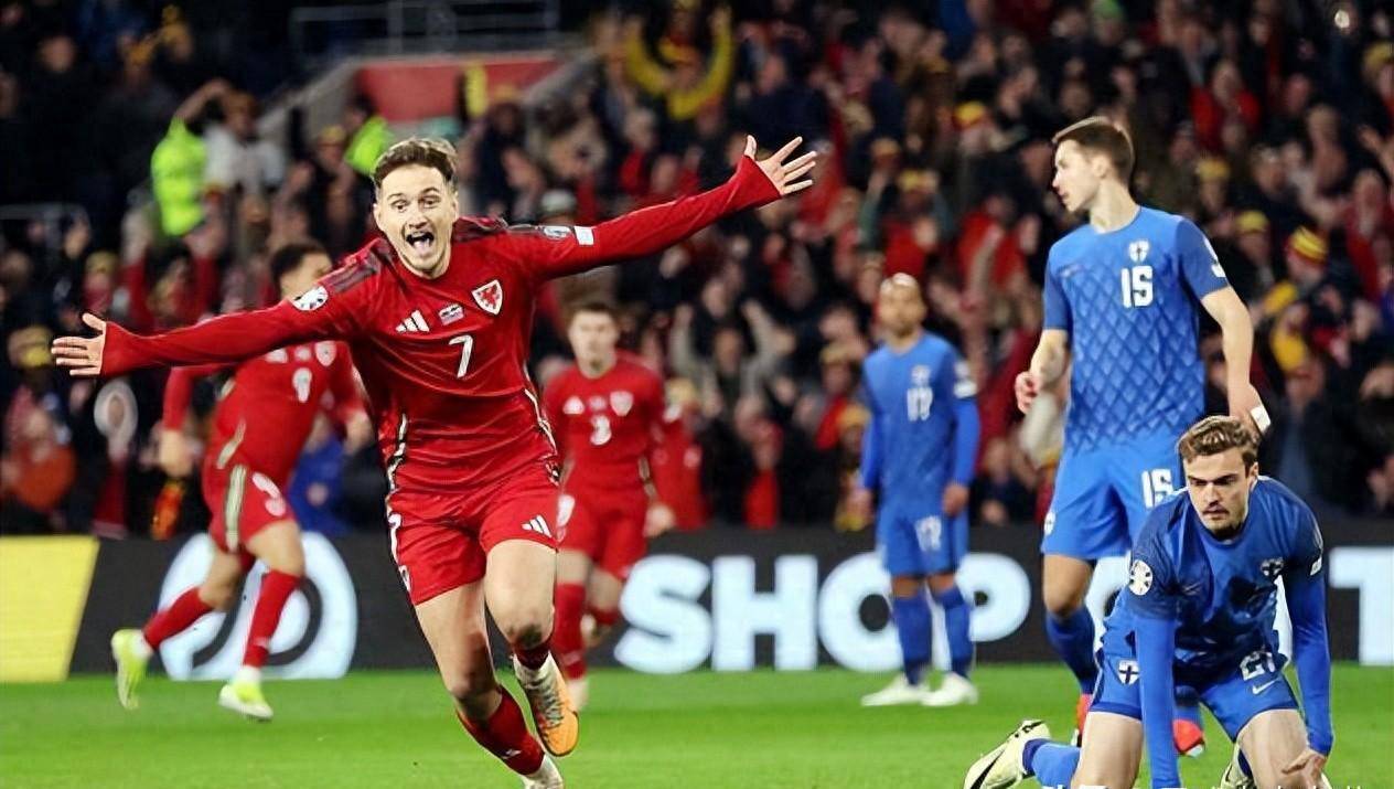 威尔士逆转芬兰,锁定欧洲杯席位 威尔士逆转芬兰,锁定欧洲杯席位