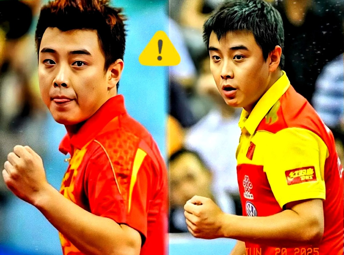 比利时乒乓球队轻取德国乒乓球队,王皓制霸全场的简单介绍 比利时乒乓球队轻取德国乒乓球队,王皓制霸全场的简单介绍